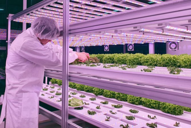 Vertical farming in de praktijk