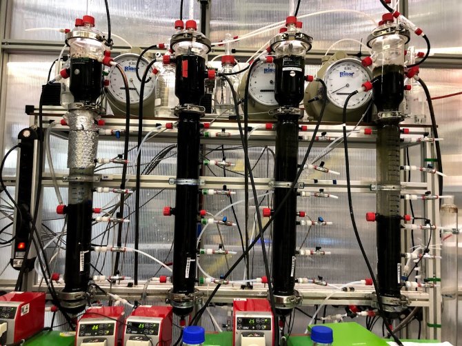 Figure 1 Lab-scale UASB reactors