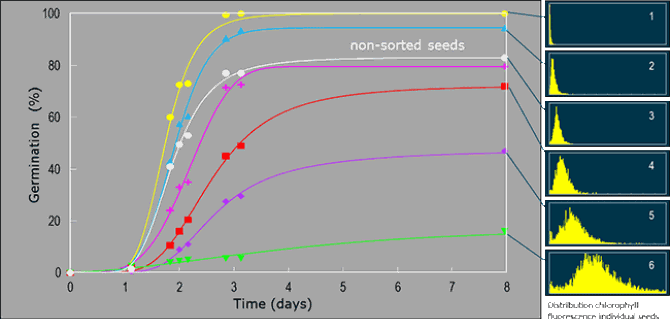 Mature seeds tend to contain less chlorophyll as this molecule is degraded during the maturation of most seeds. Sorting seeds on their chlorophyll fluorescence level shows that more mature seeds (lower fraction numbers in the panels on the right) perform much better compared to similar sized, less mature seeds (higher fraction numbers).