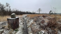 Grenssteen in het Wooldse Veen in de Nederlands-Duitse grensstreek. Onderdeel van een reeks die in 1766 is geplaatst. Foto: Roy van Beek