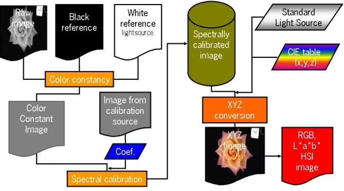 flowchart_spec_to_col.jpg