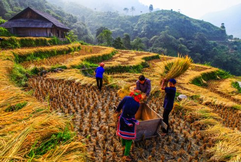 Post Harvest Losses - WUR