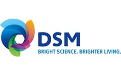 DSM