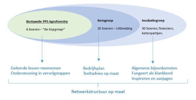 Organigram van de netwerkstructuur op maat