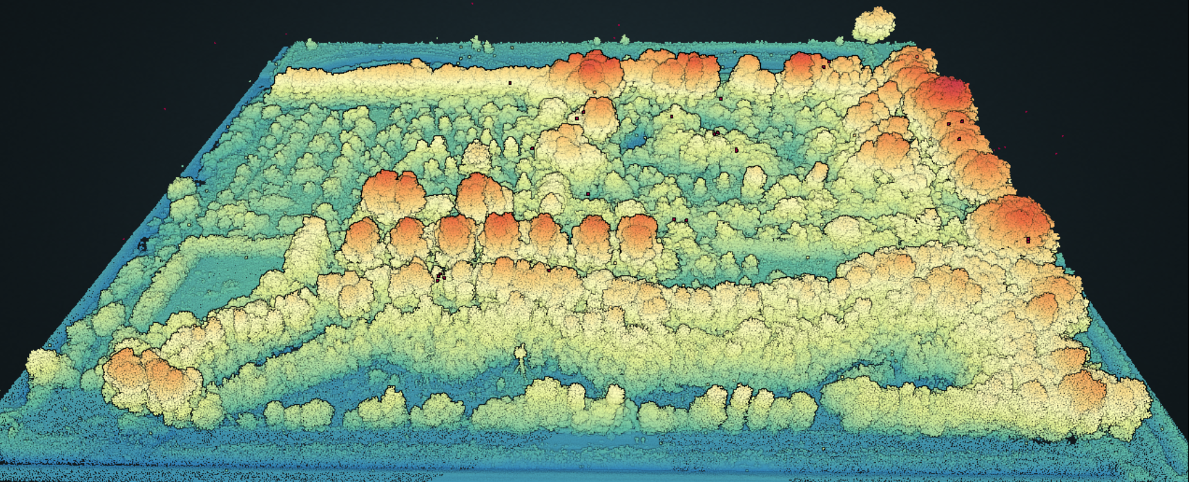 A LIDAR 3D recording of the Ketelbroek food forest made using a drone. Image: Sander Mucher