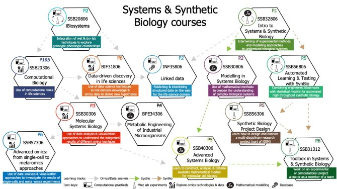 SSB Courses