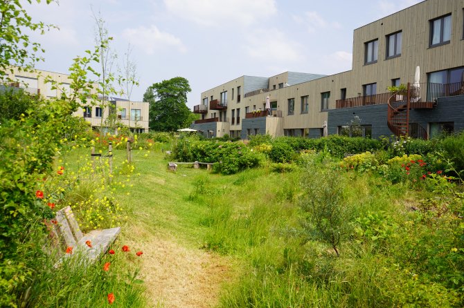 Wadi in Groene Mient, Den Haag - Nanda Sluijsmans