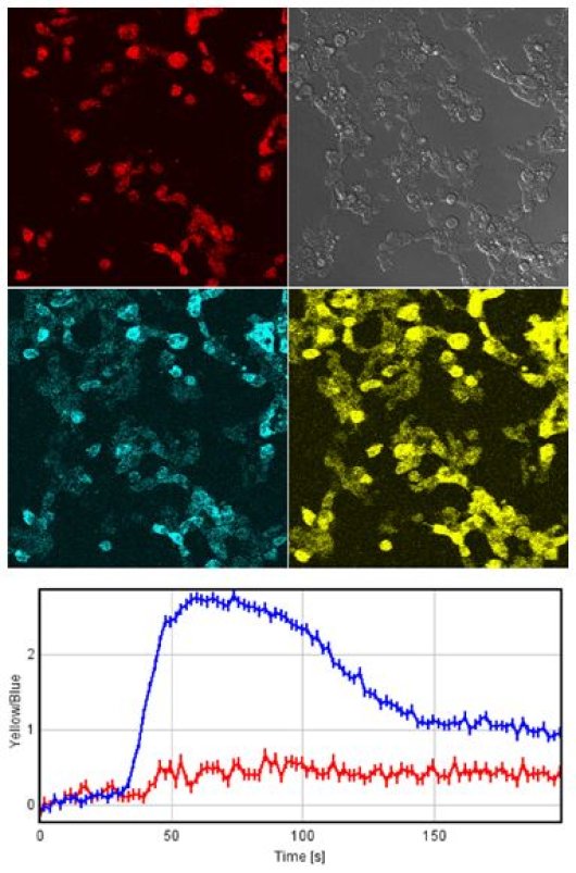 plugin contact 7 form ImageJ for WUR imaging based  plugin  Prifret: pixel ratio An