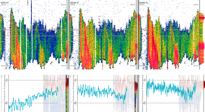 Figure 1. Echogram showing broadband data of a mackerel school observed on a pelagic freezer-trawler