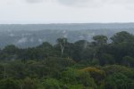 View from San Lorenzo canopy crane in a cloudy day!