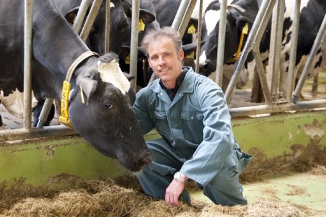 Onderzoeker Jan Dijkstra op een melkveehouderij