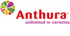 Anthura