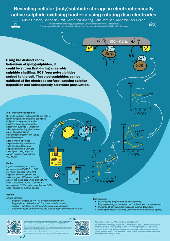 Best Poster Award for the creative poster of Rikke Linssen