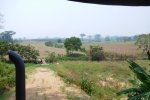 Panoramic view of the landscape in the study site: here an extensive agricultural area with conserved forest in the background