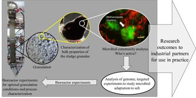 Figure 2: Research making anaerobic granular sludge technology work for high-salinity waters.   