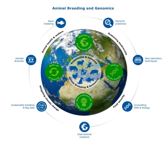 Infographic Animal Breeding and Genomics