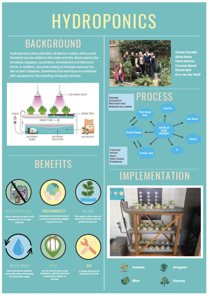 Hydroponics