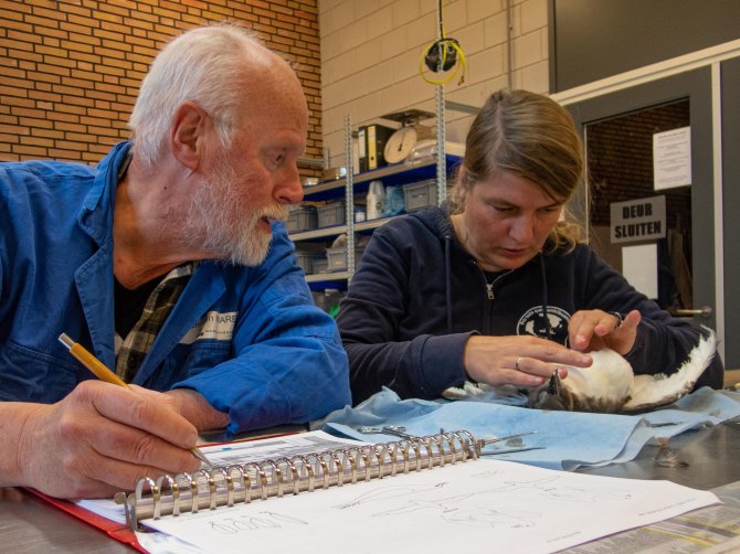 Investigators Susanne Kühn en Jan van Franeker