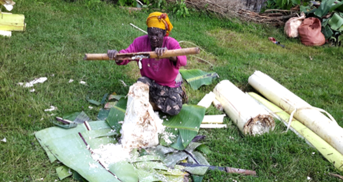 Figure 4: Woman in Sidama region busy crushing the Enset corm