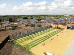 Algae test facilities in Spain fixing an impressive 6.5% of sunlight into biomass