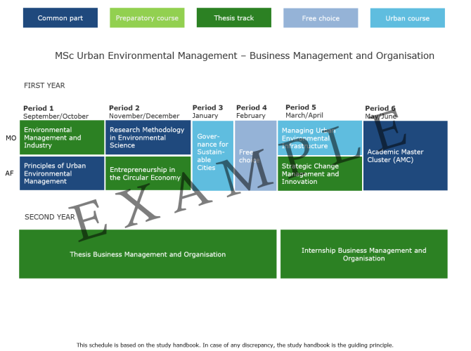 2024-2025 MUE - Business Management and Organisation