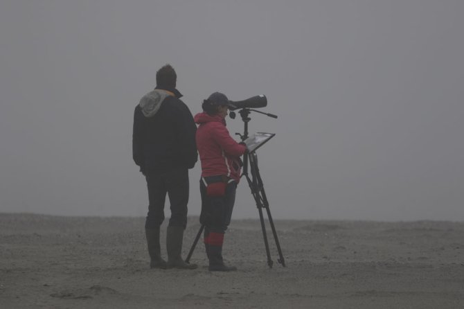 Onderzoekers Geert en Jessica op een nevelig Griend