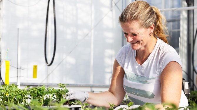 The repotting of the plants used in the Challenge.