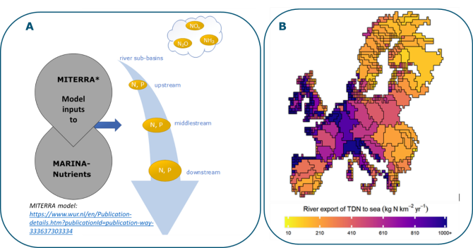 Figure 1: (a) Conceptual framework of the model application to Europe, and (B) river export of total dissolved nitrogen (TDN) to the European seas (kg km-2 year-1; Aslıhan Ural and others, under development)