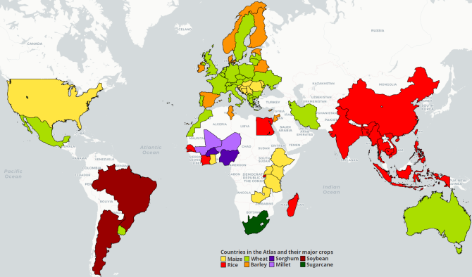 GYGA countries