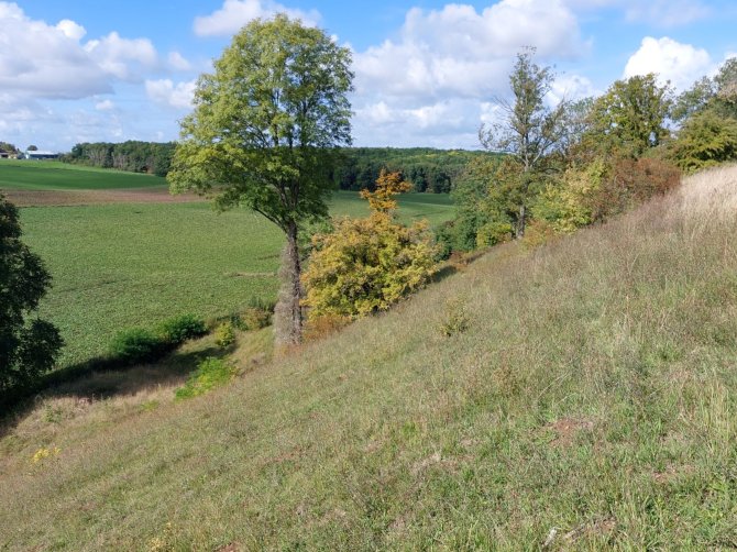 Expeditie naar de Kunderberg (Zuid-Limburg) op 19 september 2022.