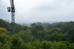 The canopy crane in San Lorenzo