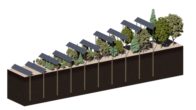 ForestVoltaics een ontwerp-onderzoeksproject van Sam van der Oetelaar en professor Stremke. De zonnecellen stijgen met de groeiende bomen mee en creëren op die manier een gunstig microklimaat in zanderige regio's als de Veluwe.