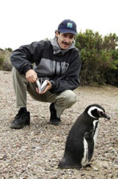 Foto: dr. Pablo Yorio, WCS Insitute, Argentinië