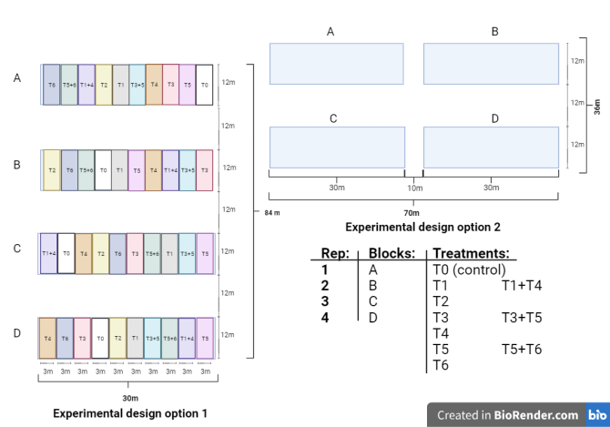 Seedbed_MSc 2 pic 2.png