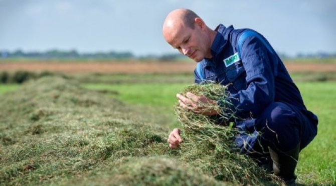 Onderzoek diervoeding in de melkveehouderij