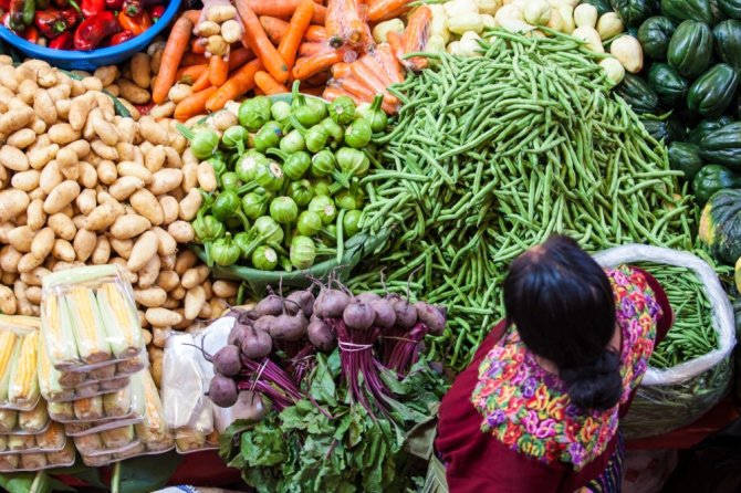 ‘Het hele systeem moet op de schop. De nadruk moet liggen op inclusieve en rechtvaardige besluitvorming.' Photo: Tati Nova photo Mexico / Shutterstock.com.