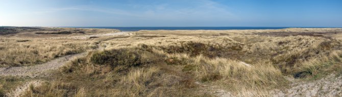 duinen_schoorl_de-kerf_shutterstock_13227946.jpg