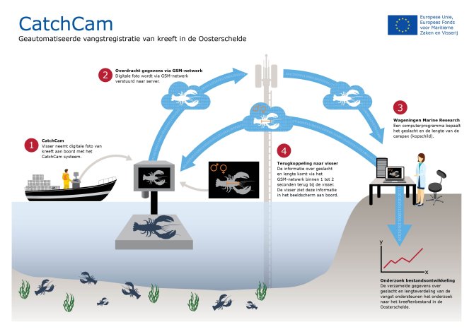 Infographic CatchCam