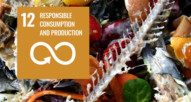 12responsible Consumption And Production Wur 3007