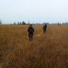 Onderzoek met grondradar (GPR) in hoogveen om verschillende veenlagen te onderscheiden en de veendikte vast te stellen. Foto: Roy van Beek