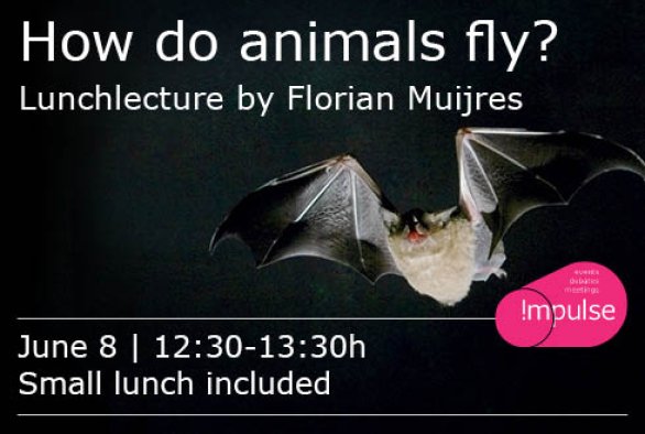 How do animals fly? - WUR