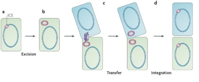 doi:10.1038/nrmicro2137