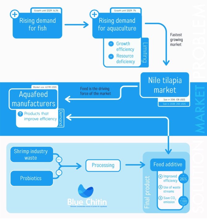 Infographic Blue Chitin