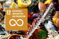 Goal 12: Responsible Consumption and Production