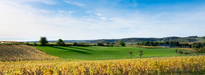 limburg_waterberging_landschap_shutterstock_1565715652.jpg