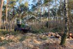 Harvester at work in Scots pine forest