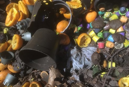 Compostable plastics disintegrate fast enough in the current Dutch Biowaste disposal system