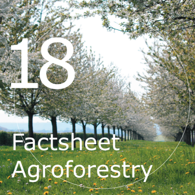 Factsheet Agroforestry 16A