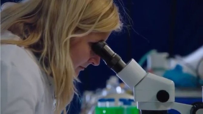 Andrea checks plankton survival using a binocular.