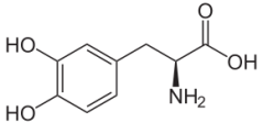 Figure 1. Chemical structure of DOPA 